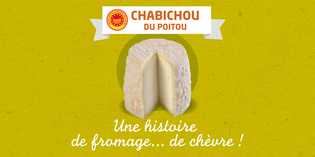 vu-02-chabichou-du-poitou-fromage-de-chevre